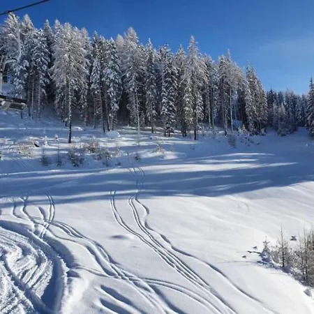 Apartmán Ferienapartment An Der Skipiste *
