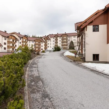 Ferienapartment An Der Skipiste 公寓 *