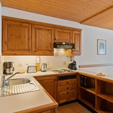 Ferienapartment An Der Skipiste 公寓 *